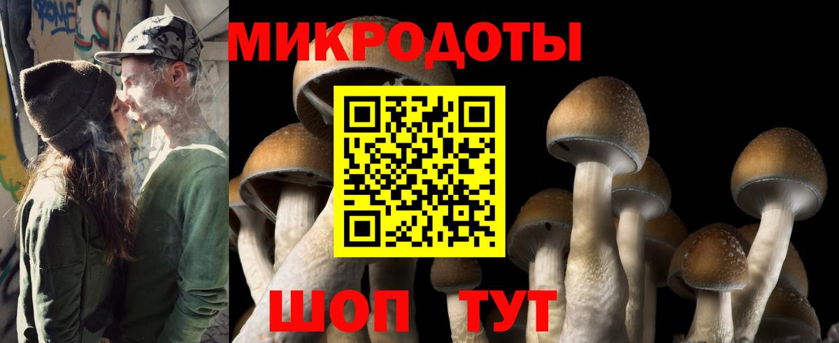Галлюциногенные грибы GOLDEN TEACHER Нижневартовск